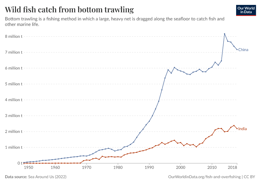 Wild fish catch from bottom trawling