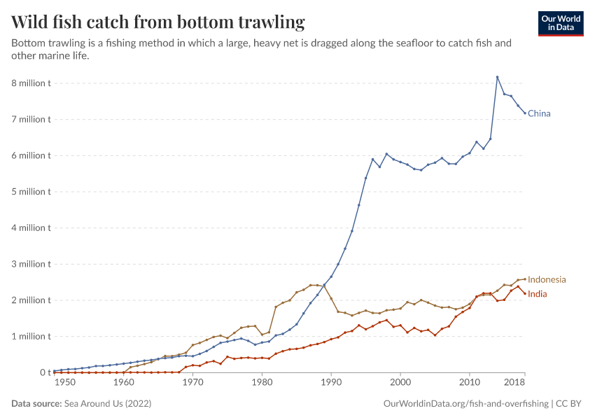 Wild fish catch from bottom trawling