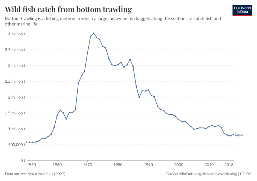 Wild fish catch from bottom trawling